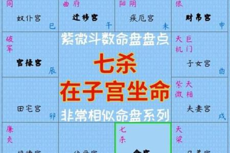 紫薇斗数流年盘怎么看