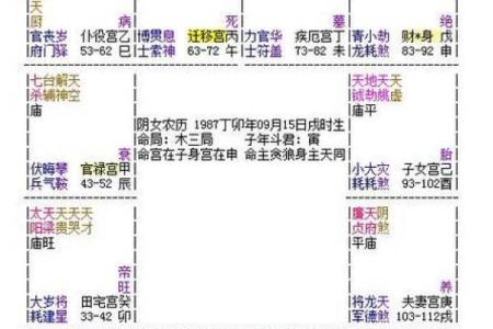 紫薇斗数耗驿