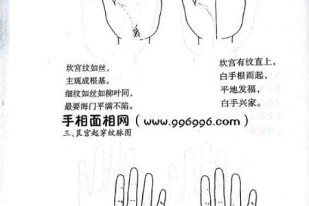 手型算命：土型手人的性格与命运