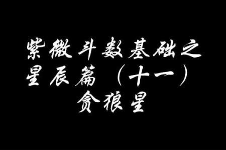 紫微斗数之子女宫与诸星，贪狼星在子女宫是什么意思？