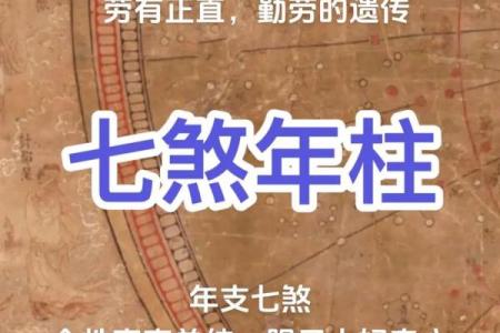 「八字年柱有根」为你解读，合辟新坑或自我提升？