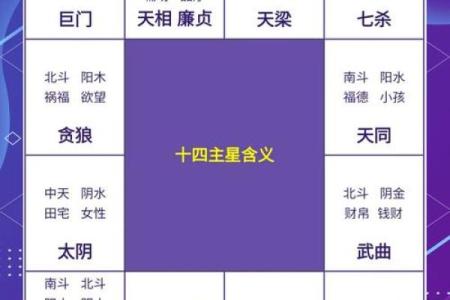 紫微斗数十四主星：天相星概论