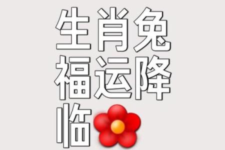 算命说是金兔子
