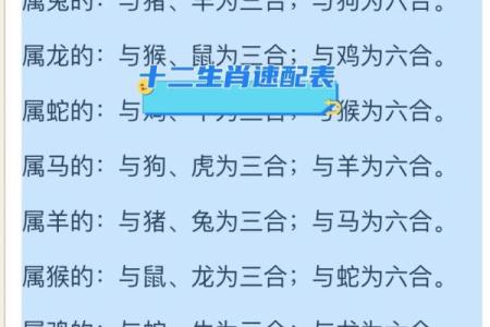 生肖算命婚姻，十二生肖什么属相和龙最配