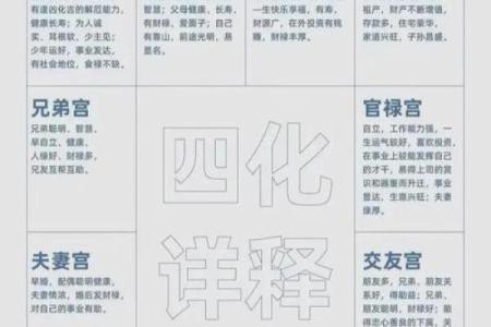 紫微斗数诸星落诸宫之：破军星夫妻宫详解