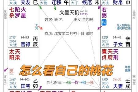 紫薇斗数怎么看晚运