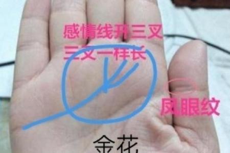 女人手相算命图解女人婚姻 婚姻线看感情生活