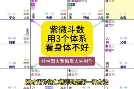 在线看紫薇斗数