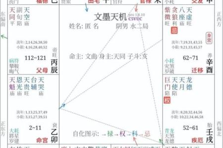 紫薇斗数看分居