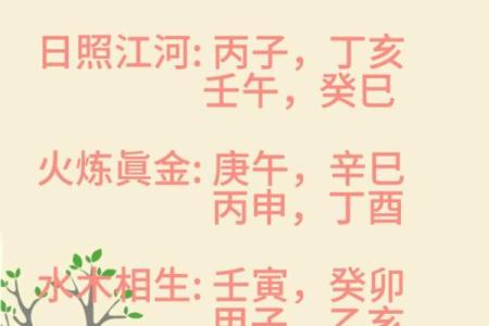 八字-论日柱壬戌