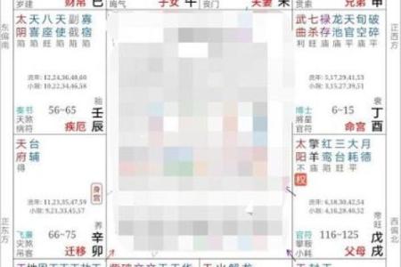 紫薇斗数真实案例知乎