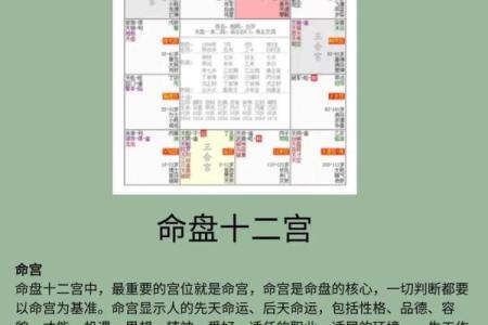 紫薇星入命宫平
