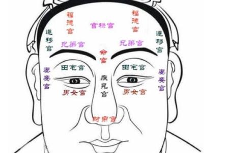 相貌宫紫薇斗数