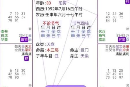 八字紫微星是什么意思