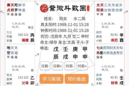 《紫微斗数》命盘解析可以运用哪些领域？