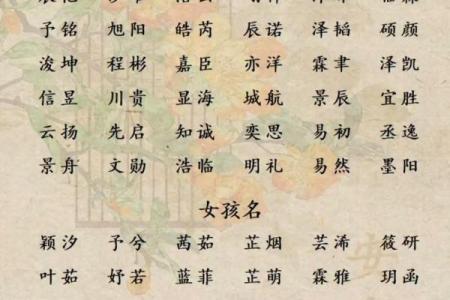 八字起名网官网,免费取名网生辰八字起名大全