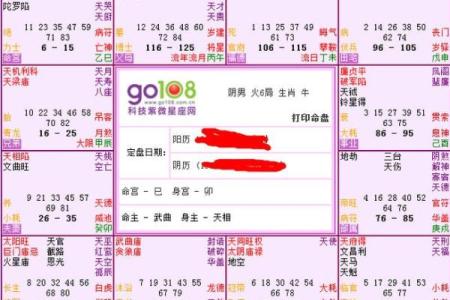紫薇星盘什么意思