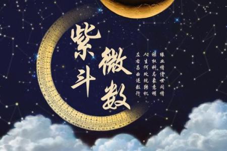 紫薇斗数命宫天魁星