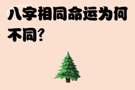 相同八字