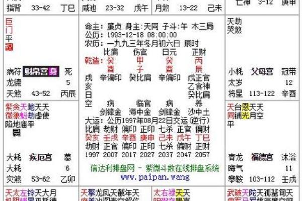 紫薇斗数的身主是什么