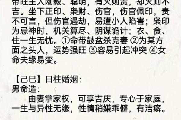 己亥生辰八字详解大全女命