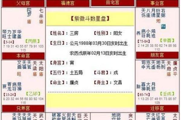 紫薇斗数怎么数岁数