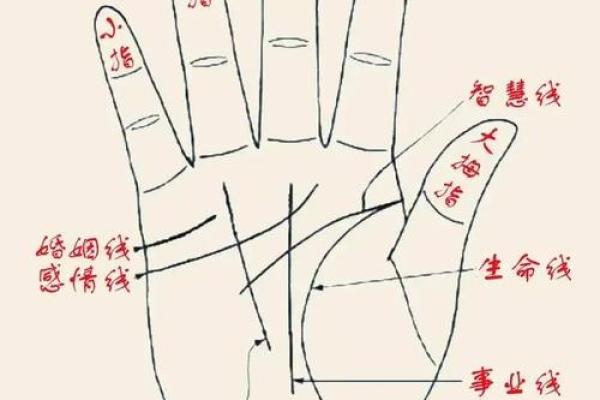 女性左手掌纹手相算命准吗