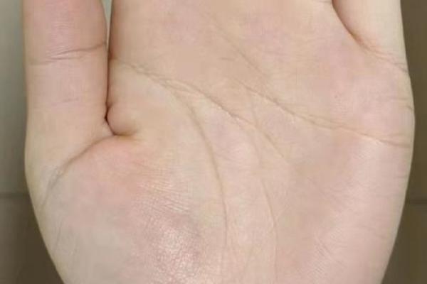子女缘分测试免费查询 子女缘准吗？
