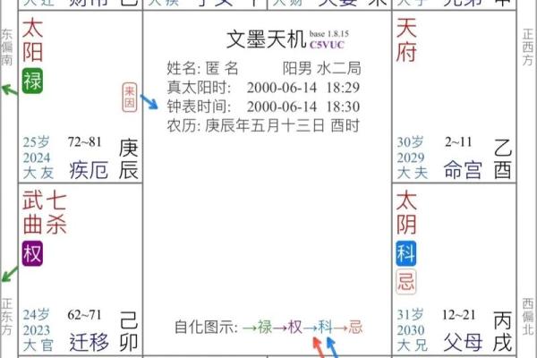 适合外地创业紫薇斗数