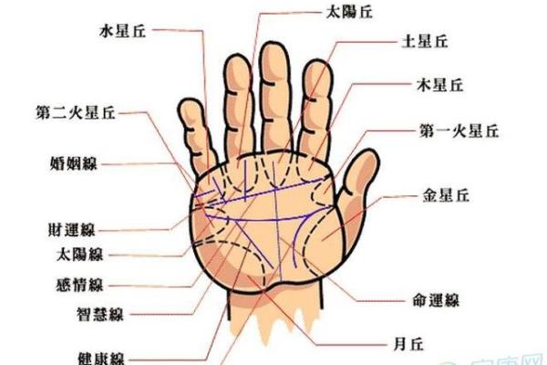 手相算命破解