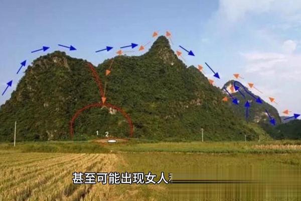 风水故事资讯；偷窃他人好风水