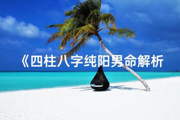 八字纯阳男