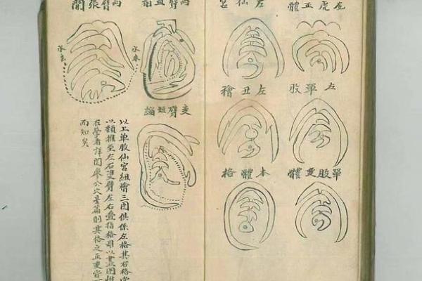 风水：天文地理之穴气四真三法