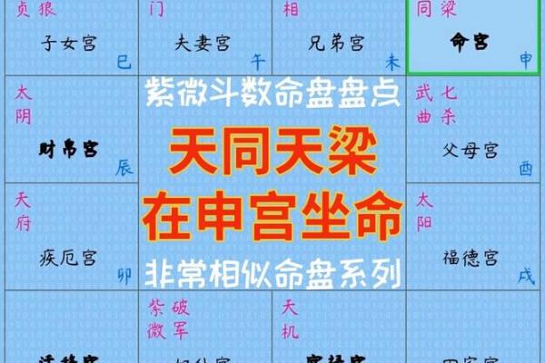 紫薇斗数文曲在申