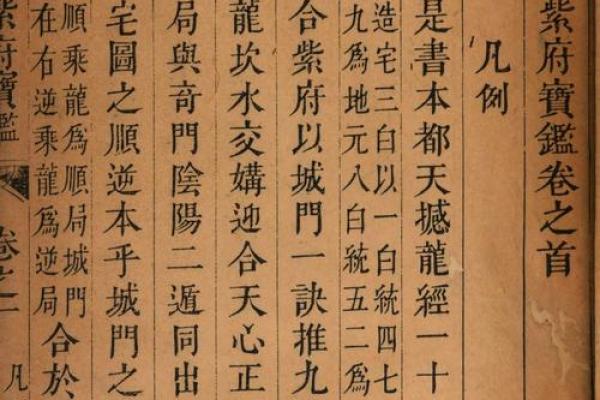 风水堪舆_奇门遁甲等一体的书
