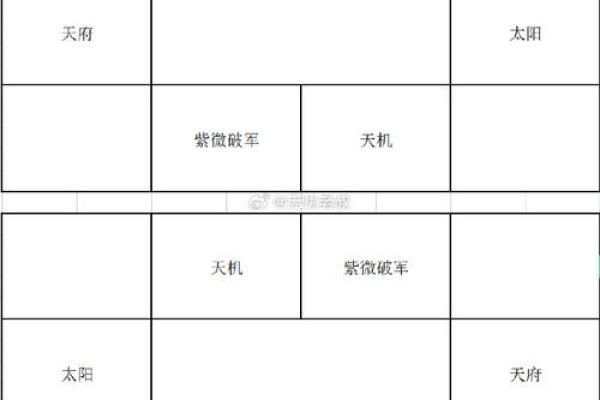 蓝天辰紫薇斗数案例