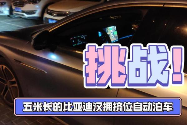 车位号吉凶测试软件