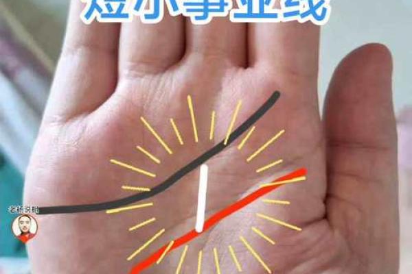 女人的事业线止于感情线命运如何风水