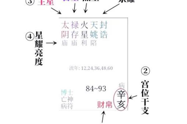 紫薇斗数解析新闻
