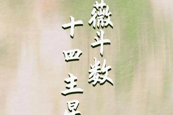 手机紫薇斗数app