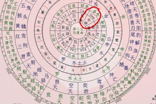 大运紫薇斗数
