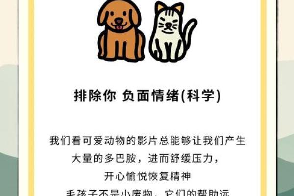 养猫风水