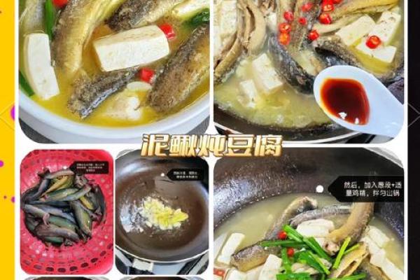 养泥鳅风水攻略