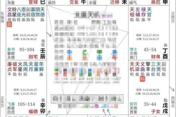 紫薇斗数命盘案例