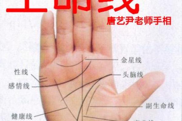 唐艺尹老师：紫微斗数合婚以及结婚年份看法