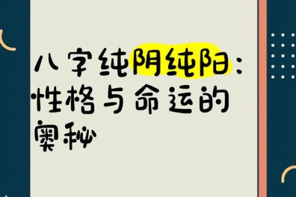 男命八字纯阳