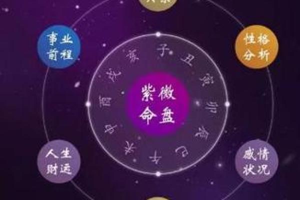 周公紫薇斗数