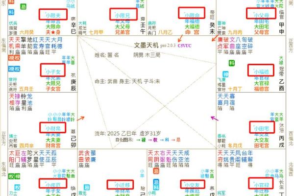 紫薇斗数小限是什么