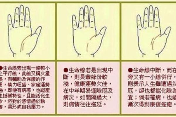 男人手相算命图解揭密男人命运