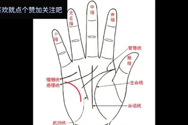 男人手相算命图解揭密男人命运